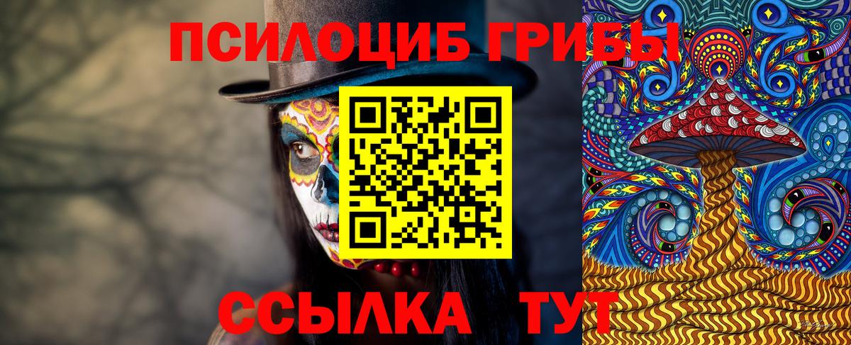 Галлюциногенные грибы прущие грибы Щёлково