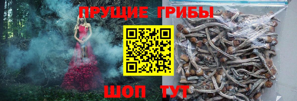 Щёлково  Псилоцибиновые грибы ЛСД  Вход с VPN 